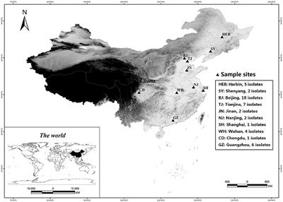 Genetic Differentiation, Diversity, and Drug Susceptibility of Candida krusei